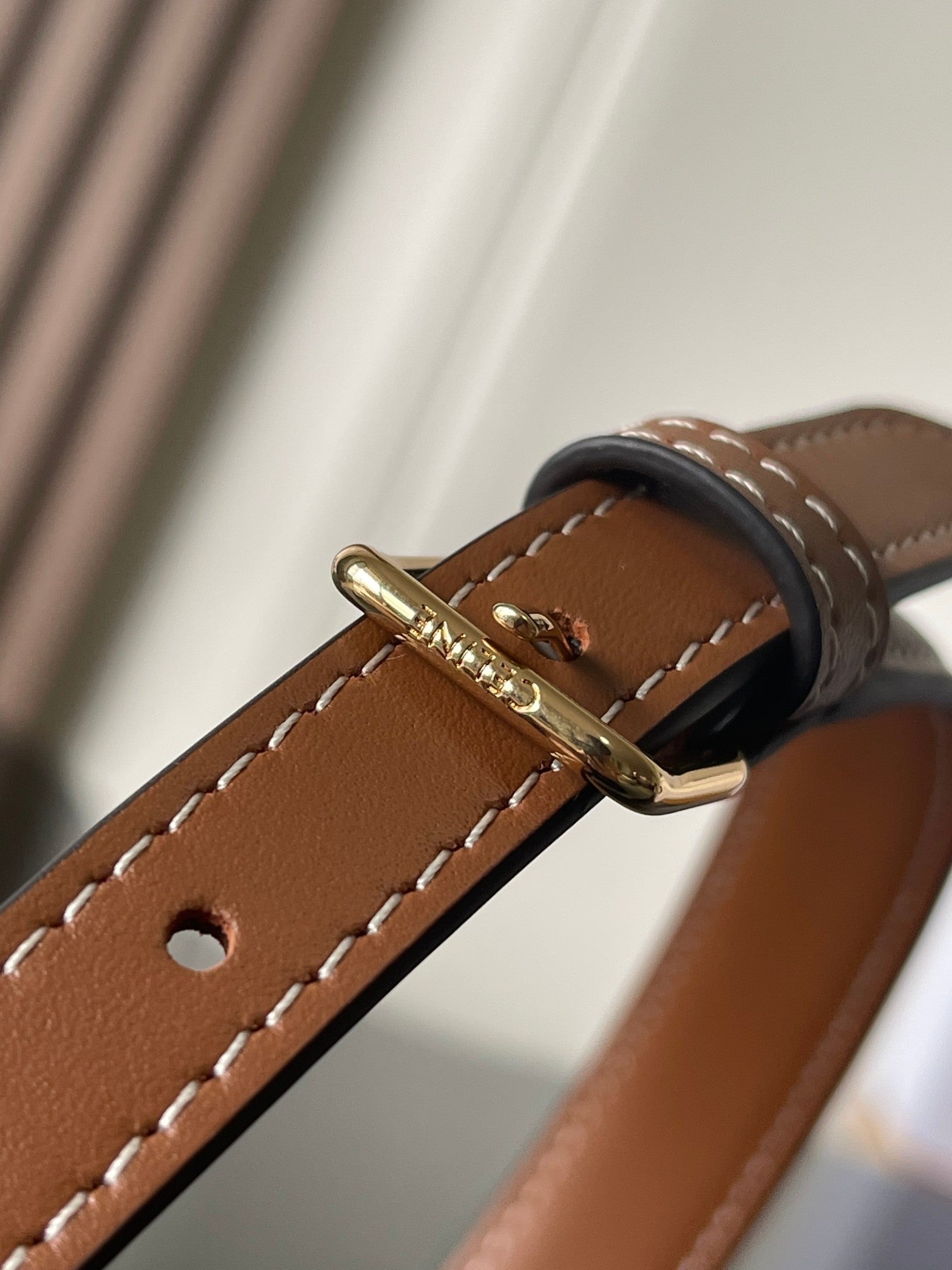 Celine Shoulder Bag In Triomphe Canvas And Calfskin